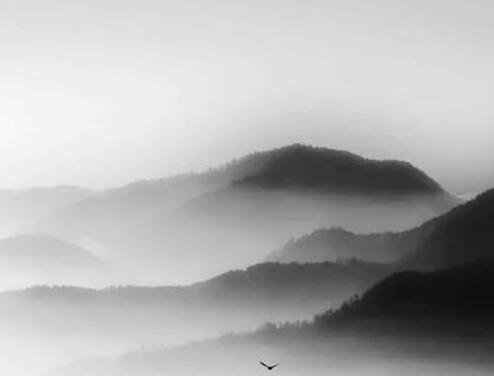 �����С��ɽ�����������ɭ�y(c��)ԇ��䓌���