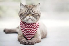�����ؑ�ͬ����W����؈�ж�,�����ˆT���ҵ�