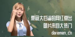 ��ʳ������ľW(w��ng)�t��(f��)��,��ʳ������W(w��ng)�t���ӬF(xi��n)����Ǹ