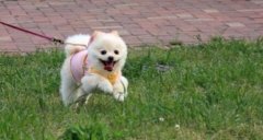 �Ĵ���������؈��������,���ܳ��T��̎�Q